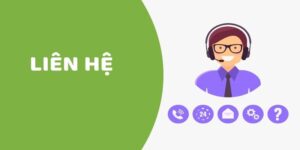 Giới thiệu sơ lược về FEBet